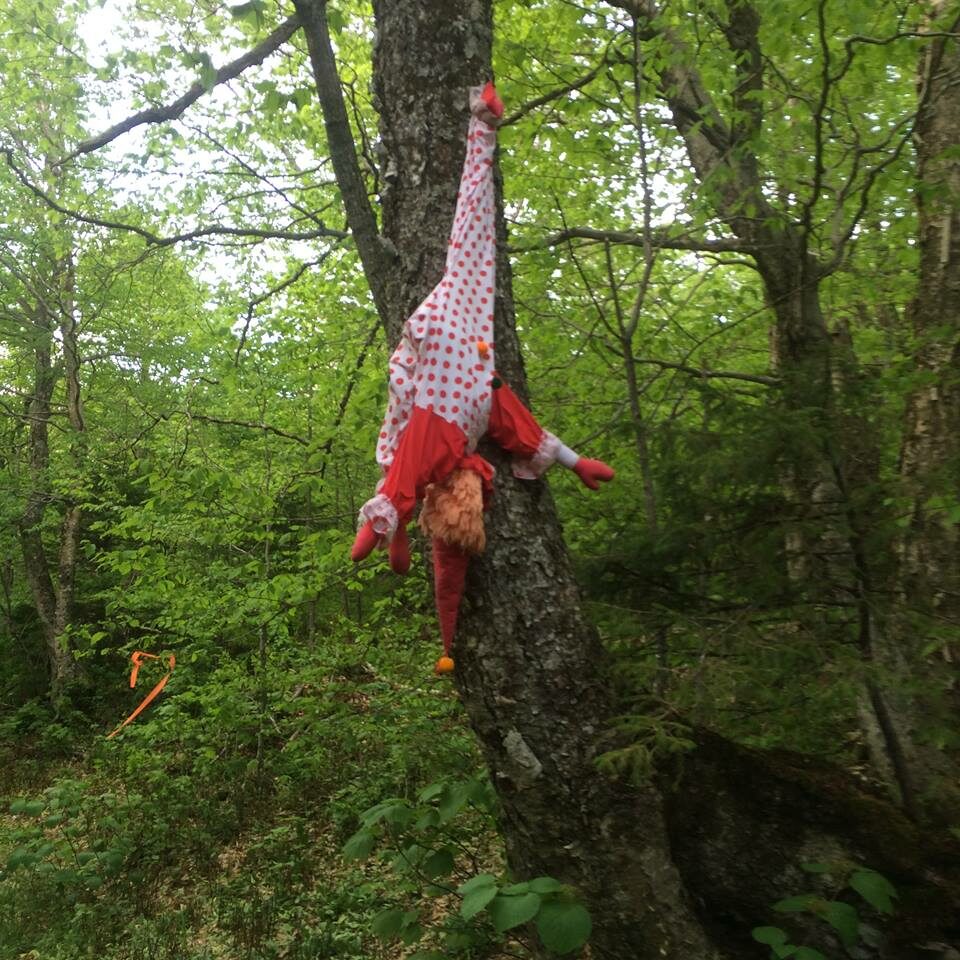 A clown hanging from a tree in the woods.