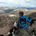 A woman sits on top of a mountain with two dogs.