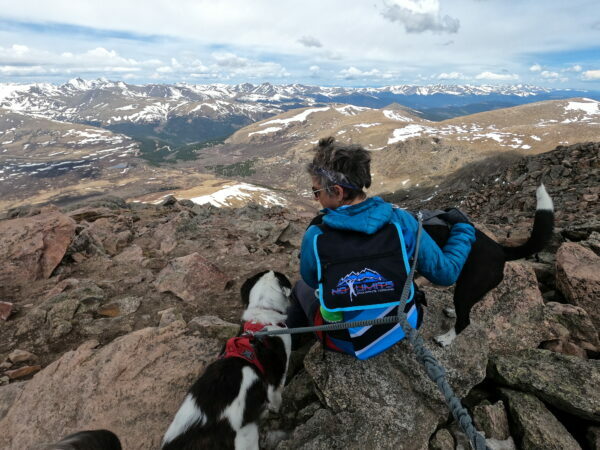 A woman sits on top of a mountain with two dogs.